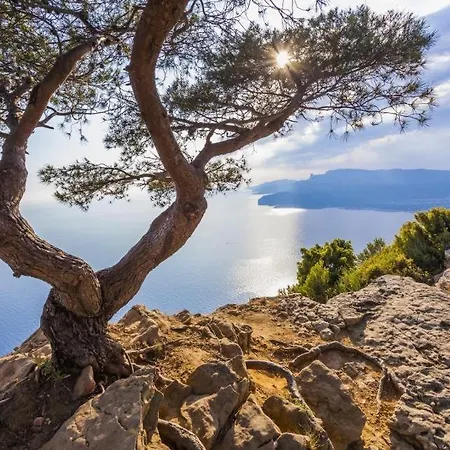 Lägenhet T2 40m2 + Jardin A 10min A Pied Des Plages